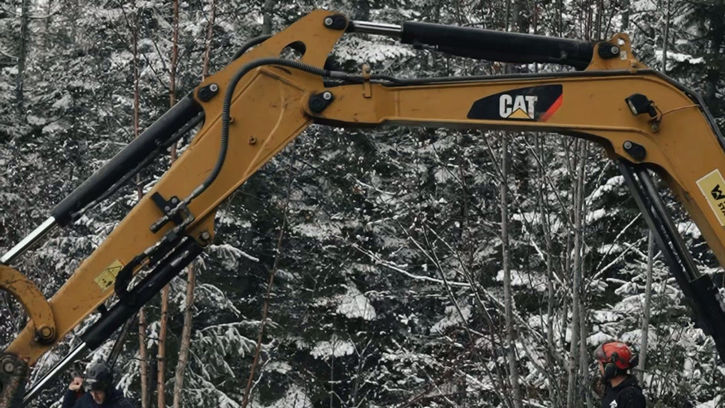 Northwest Tree Care